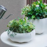 画像: Sen Roly Pots Shallow セン ローリーポット 丸 浅型