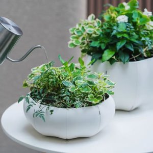 画像: Sen Roly Pots Shallow セン ローリーポット 丸 浅型