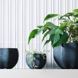 画像: Sen Roly pots セン ローリーポット 丸